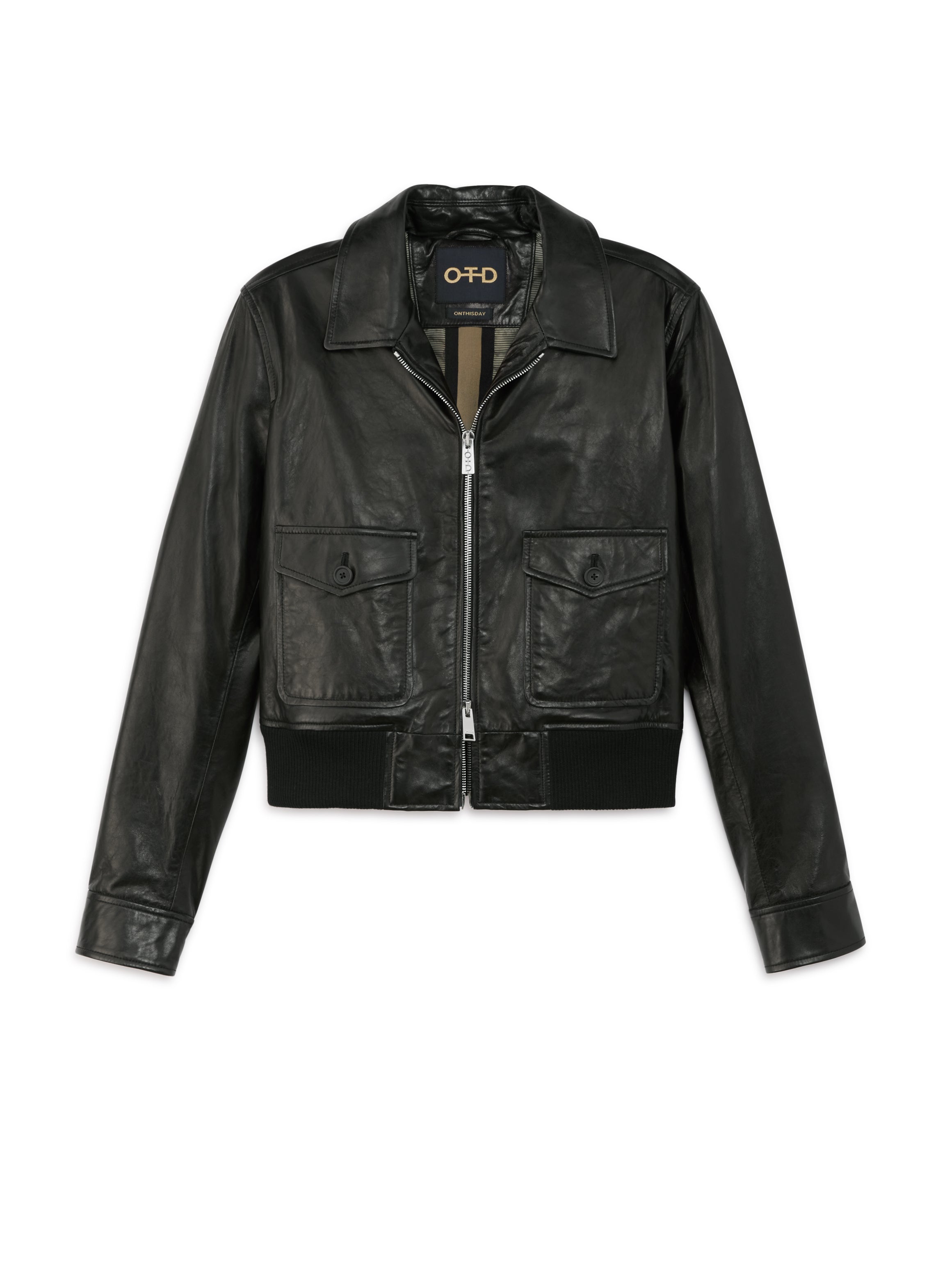 Leather Aviator Jacket